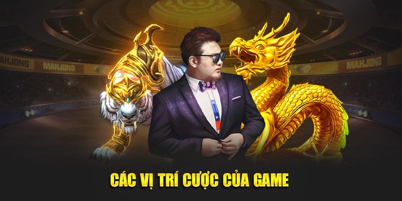 Các vị trí cược của game 