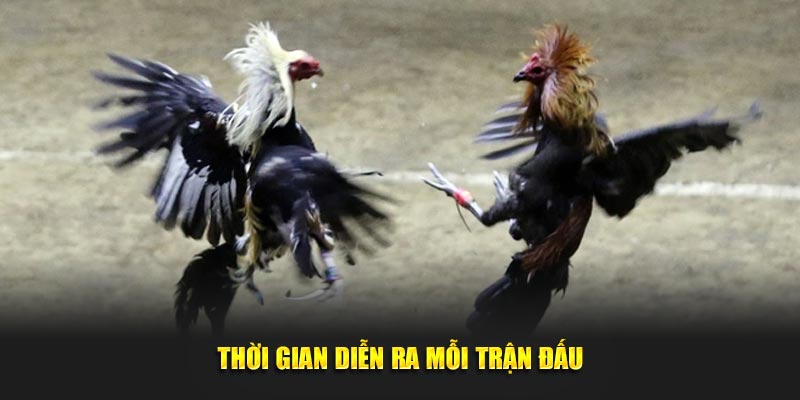 Thời gian diễn ra mỗi trận đấu